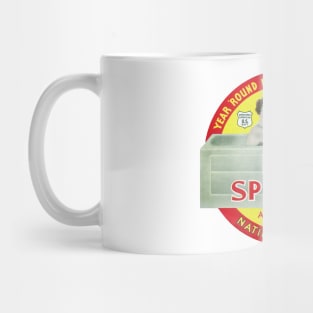 1930's Hot Springs National Park, Arkansas Mug